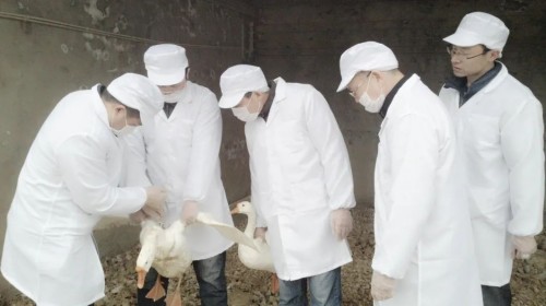 国产福利一区二区三区在线视频-538任你爽精品视频国产-亚洲精品国产乱码不卡-色噜噜国产99性色内射-做A爰片久久毛片A片的价格,湖南野生动物追踪,湖南卫星追踪器,湖南追踪器