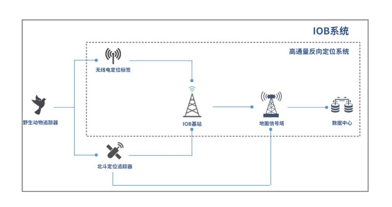国产福利一区二区三区在线视频-538任你爽精品视频国产-亚洲精品国产乱码不卡-色噜噜国产99性色内射-做A爰片久久毛片A片的价格,湖南野生动物追踪,湖南卫星追踪器,湖南追踪器